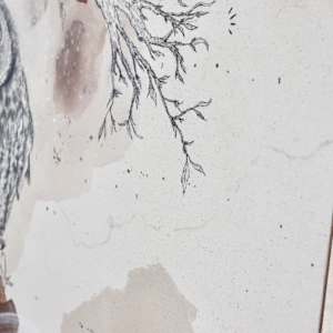 Long-Eared Owl is All Ears by Alicia Hauff Studio 