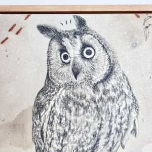 Long-Eared Owl is All Ears by Alicia Hauff Studio 