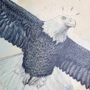 "Bald Eagle, Sacred Emblem & Protector" by Alicia Hauff Studio 