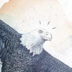 "Bald Eagle, Sacred Emblem & Protector" by Alicia Hauff Studio 