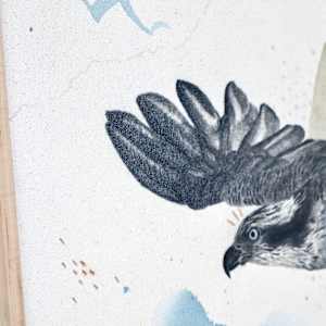 "Osprey Takes the Plunge" by Alicia Hauff Studio 