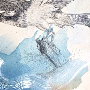 "Osprey Takes the Plunge" by Alicia Hauff Studio 