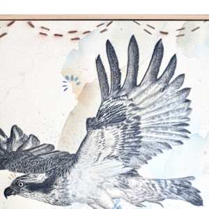 "Osprey Takes the Plunge" by Alicia Hauff Studio 