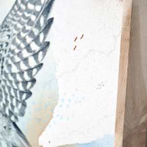 "American Kestrel, Small But Fierce" by Alicia Hauff Studio 