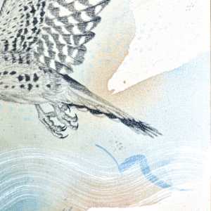 "American Kestrel, Small But Fierce" by Alicia Hauff Studio 
