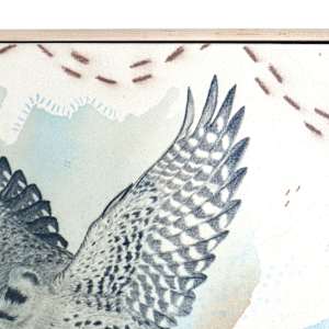 "American Kestrel, Small But Fierce" by Alicia Hauff Studio 