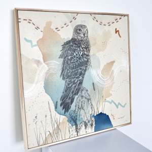 "Northern Harrier, Low Gliding Guide" by Alicia Hauff Studio 
