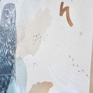 "Northern Harrier, Low Gliding Guide" by Alicia Hauff Studio 