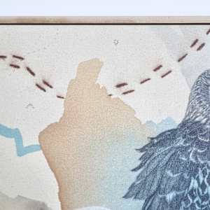 "Northern Harrier, Low Gliding Guide" by Alicia Hauff Studio 