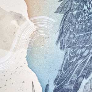 "Northern Harrier, Low Gliding Guide" by Alicia Hauff Studio 