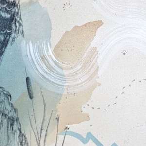 "Northern Harrier, Low Gliding Guide" by Alicia Hauff Studio 