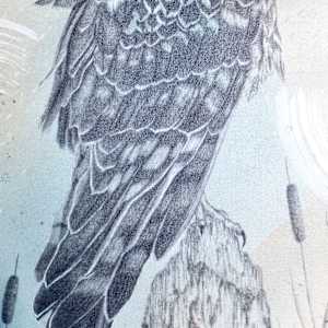 "Northern Harrier, Low Gliding Guide" by Alicia Hauff Studio 