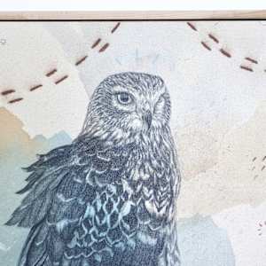 "Northern Harrier, Low Gliding Guide" by Alicia Hauff Studio 