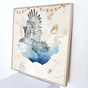 "Ferruginous Hawk, Open Country Guide" by Alicia Hauff Studio 