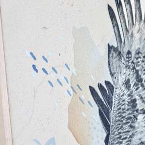 "Ferruginous Hawk, Open Country Guide" by Alicia Hauff Studio 