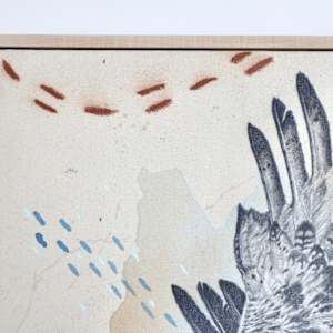 "Ferruginous Hawk, Open Country Guide" by Alicia Hauff Studio 