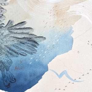 "Ferruginous Hawk, Open Country Guide" by Alicia Hauff Studio 