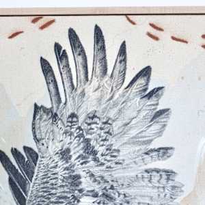 "Ferruginous Hawk, Open Country Guide" by Alicia Hauff Studio 