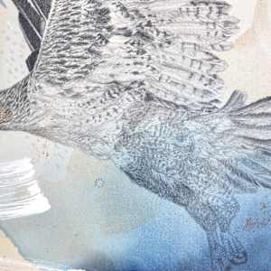 "Ferruginous Hawk, Open Country Guide" by Alicia Hauff Studio 