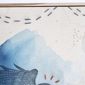 "Peregrine Falcon, Flying Ace" by Alicia Hauff Studio 