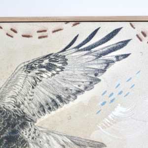 "Rough Legged Hawk, Guardian of the North" by Alicia Hauff Studio 