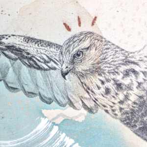 "Rough Legged Hawk, Guardian of the North" by Alicia Hauff Studio 