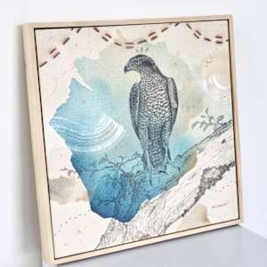 "American Goshawk, Baron of the Backwoods" by Alicia Hauff Studio 