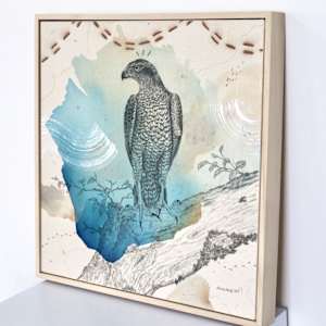 "American Goshawk, Baron of the Backwoods" by Alicia Hauff Studio 