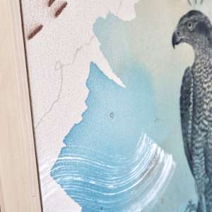 "American Goshawk, Baron of the Backwoods" by Alicia Hauff Studio 