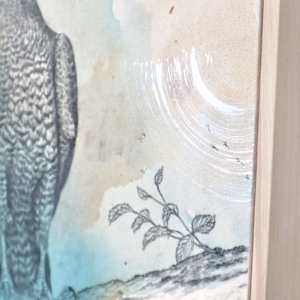 "American Goshawk, Baron of the Backwoods" by Alicia Hauff Studio 