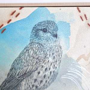 "Merlin, Small in Size, Large in Character" by Alicia Hauff Studio 