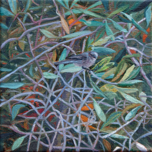 Bird in Brush by Katherine Kean