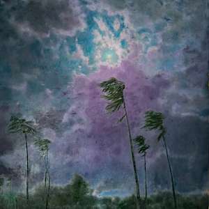 Moon and Windward Palms by Katherine Kean, Image 1.