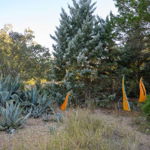 The Seeds We Plant 53-56 by Alicia Philley 