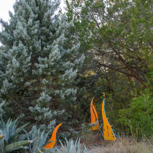The Seeds We Plant 53-56 by Alicia Philley 