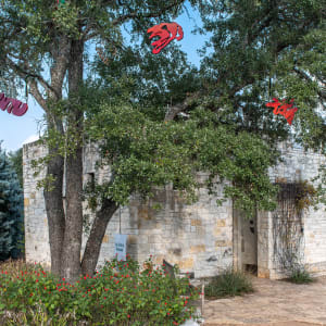 The Seeds We Plant 58 by Alicia Philley 