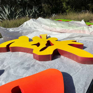 The Seeds We Plant; 60-62 grouping by Alicia Philley 
