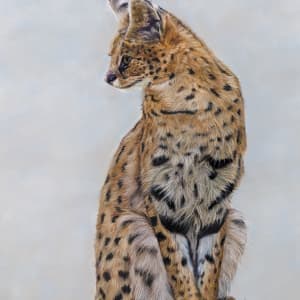 serval by Carol Motsinger