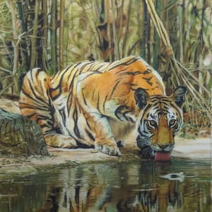 Tiger at the river by Carol Motsinger