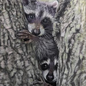 Raccoons peeking by Carol Motsinger