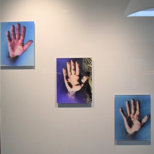 Hands by Carolina Loyola-Garcia 