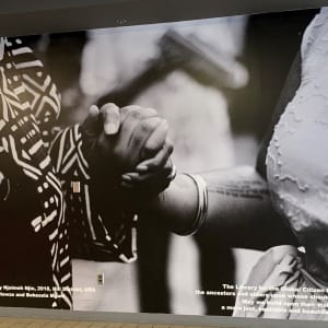 A19 Library for the Global Citizen by Bekezela Mguni