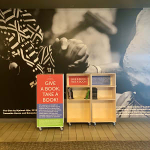 A19 Library for the Global Citizen by Bekezela Mguni 