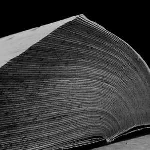 Dictionary by Abelardo Morell