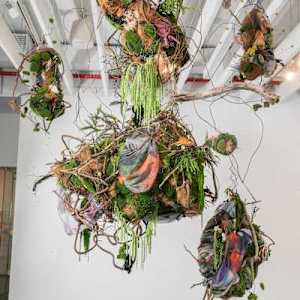 Ariel Nest by Natalie Collette Wood