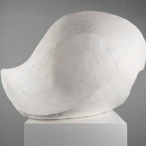 Superliminal Body by Xavier Allen 