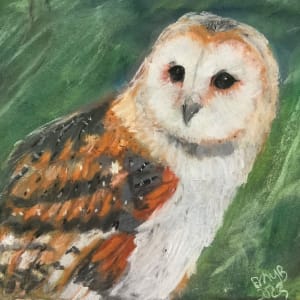 Barn Owl in Pastel by Eileen Backman
