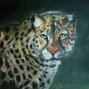 Portrait of a Leopard by Eileen Backman