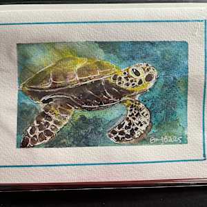 Sea Turtle (Greeting Card and Frame) by Eileen Backman