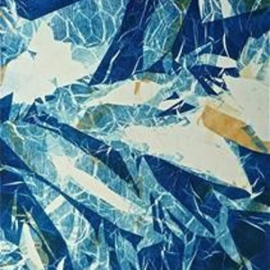 Tidepool by Tina Garrick Albro